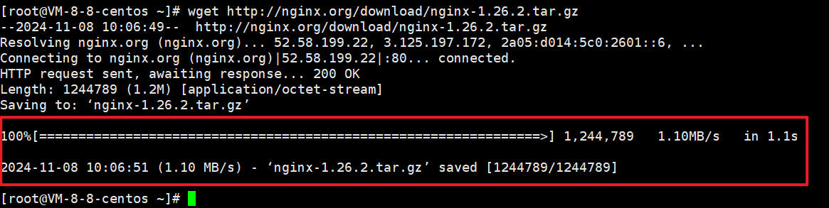 Ngin下载成功示例图